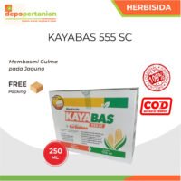 Kayabas 555SC 250ml Herbisida Selektif Racun Obat Pembasmi Gulma Rumput pada Jagung