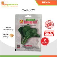 Benih Sawi Pakcoy Cakcoy 2 gram Cap Bintang Asia