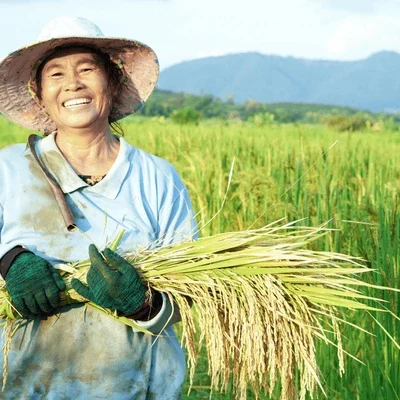 happy-thai-female-farmer-harvesting-600nw-756191968