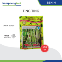 Benih Buncis Ting Ting isi 100 gram Bibit Buncis BUNGA MATAHARI