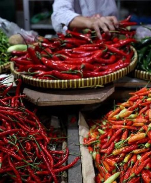 pedagang-memotong-cabai-merah-keritinh-yang-dijual-di-kawasan-pasar-pondok-gede-jakarta-rabu-2962022-cnbc-indonesiamuhammad-sa-9_169